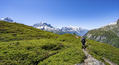 Mountaineer on hiking trail, mountain panorama with glaciated mountain peaks, Aiguille Verte with