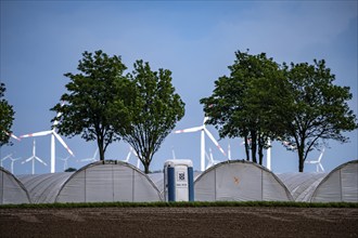 Agriculture, large areas with foil tunnel, for growing strawberries, south of Lövenich, belongs to