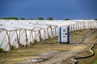 Agriculture, large areas with foil tunnel, for the cultivation of strawberries, south of Lövenich,