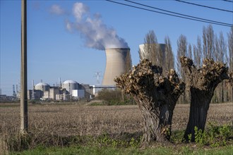 The Doel nuclear power plant on the Scheldt, one of two nuclear power plants in Belgium, consists