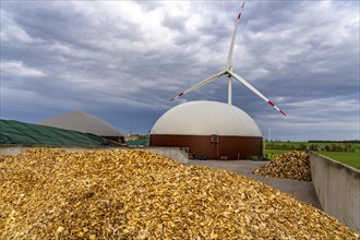 Biogas plant produces gas from various biomass, here the sugar beet storage, the electricity is