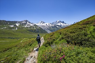 Mountaineer on hiking trail near the Col des Posettes, mountain panorama with glaciated peaks,