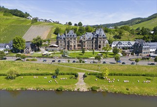 Historic castle surrounded by vineyards and river landscape on a sunny day, aerial view, Lieser