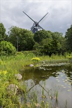 Pond with water lilies, historic windmill, park at the mill, Wyk, Föhr, North Sea island, North