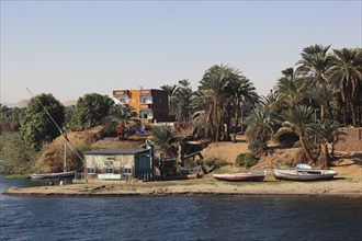 Landscape along the Nile, between Luxor and Esna, Africa, Upper Egypt