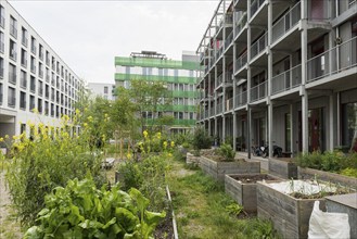 Modern architecture, co-operative, housing co-operative, Erlenmatt, Basel, Canton of Basel-Stadt,