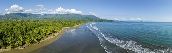 Beach and rainforest, Marino Ballena National Park, Osa National Park, dream beach and sea of the