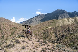 Traditional Kyrgyz eagle hunter with eagle in the mountains, hunting on horseback in front of dry