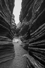 Las Grietas volcano columns, Lanzarote, Canary Islands, Spain, Europe