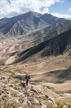 Traditional Kyrgyz eagle hunter hunting in the mountains in a dry landscape, near Kysyl-Suu, Issyk