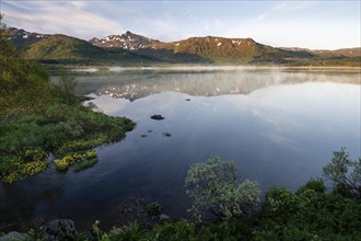 Landscape in the Lofoten Islands. Lake Lilandsvatnet, mountains behind. Yellow blooming marsh