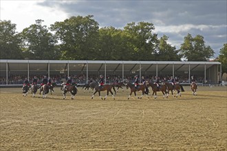 Warendorf State Stud, Stallion Parade, Jacobowski Quadrille