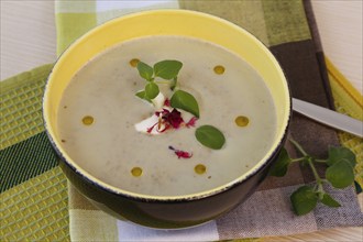 Swabian cuisine, Alblinsen chestnut soup, healthy, vegetarian, regional, soup served in a bowl with