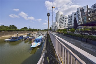 Marina, Rheinturm television tower and building by architect Frank O. Gehry in Düsseldorf, state