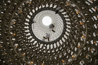 Visitor on glass pane from below, The Hive, artwork by Wolfgang Buttress, Royal Botanic Gardens