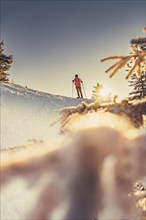 A woman's ski tour at sunrise on the Tegelberg in the Allgäu in the Ammergebirge, Bavaria, Germany,