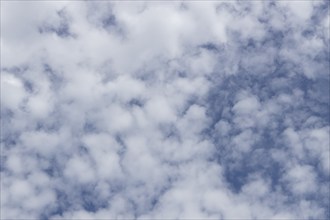 Cirrocumulus white clouds in a blue sky, England, United Kingdom, Europe