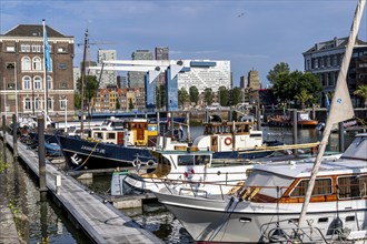 Rotterdam Marina, behind high-rise buildings in the Maritiem District on the other side of the