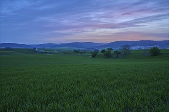 Wide green meadows and hills in the morning light, under a pink-blue sky, Mönchberg, Mltenberg,