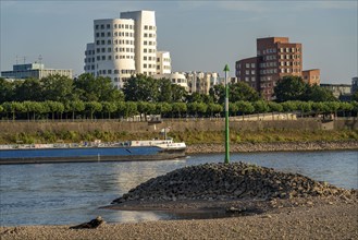 Rhine near Düsseldorf, extremely low water, Rhine level at 81 cm, falling, after a long drought the