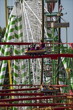 The Rhine Fair in Düsseldorf, in the Rhine meadows in the Oberkassel district, on the Rhine, Wild