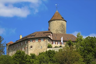 Reichenberg Castle, Staufer castle complex, hilltop castle, historical building, built between 1230