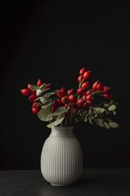 A white vase with red rose hips, Germany, Europe