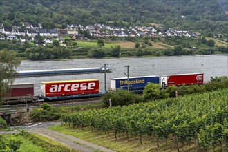 Upper Middle Rhine Valley, railway line on the right bank of the Rhine, goods train line, up to 400