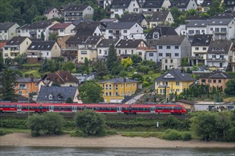 Left bank of the Rhine railway line in the Upper Middle Rhine Valley, near Trechtinghausen Regional