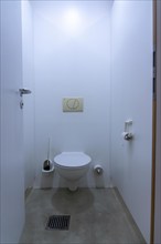 Men's toilet, Toilet cubicles, Toilet seat, Toilet seat