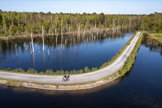 Whitsun lake in the Kirchheller Heide, near the HeidhofWhitsun lake in the Kirchheller Heide, near