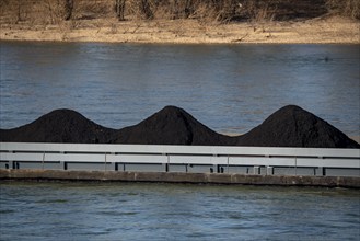 Cargo ships on the Rhine near Duisburg, imported coal, for power stations, Duisburg, North