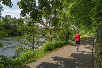 Canal path along the Ruhr near Essen-Kettwig, hiking trail, cycle path along the Ruhr, trees have