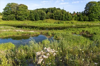 Emscherland, a new nature and water adventure park on the renaturalised Emscher, at the water