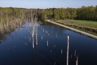 The nature reserve Kirchheller Heide, the Pfingstsee, created by subsidence caused by coal mining,