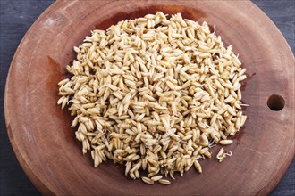 Heap of germinated oats on brown wooden background, close up, top view