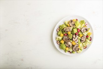 Vegetarian salad from romanesco cabbage, champignons, cranberry, avocado and pumpkin on a white