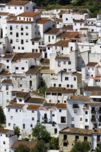 Typical white village of Casares, houses on the hillside, close-up, Route of the white villages,