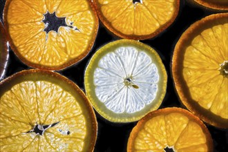 Transparent slices of fresh oranges and lemons on the glass