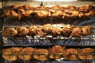 Grilled knuckle of pork and chicken on the spit