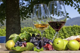 Symbolic image of the grape grape harvest: Ripe grapes decorated with wine glasses on a wooden