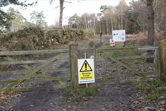 Forestry tree felling signs to create more heathland habitat, on Upper Hollesley Common, Suffolk,