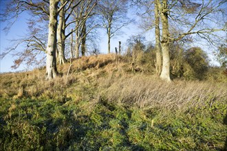 Neolithic long barrow in chalk downland countryside near East Kennett, Wiltshire, England, UK