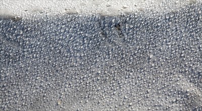 Water droplets dew condensation on fleece fabric in field