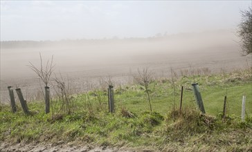 Soil erosion due to strong winds on the Suffolk Sandlings, Sutton Heath, Suffolk, England, United