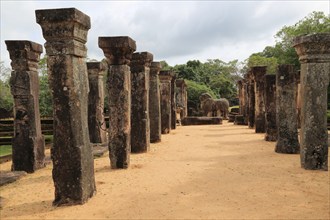 Council Chamber, Island Park, UNESCO World Heritage Site, the ancient city of Polonnaruwa, Sri