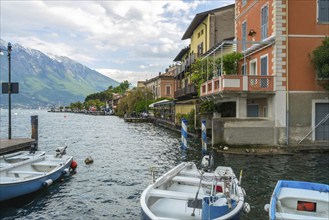 Limone sul Garda, Lake Garda, Province of Brescia, Lombardy, Italy, Europe