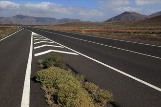 Chevron road lines on main highway through Malpaís Grande national park, Fuerteventura, Canary