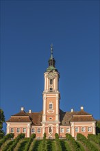 Viticulture, Birnau pilgrimage church, Uhldingen-Mühlhofen, Lake Constance, Baden-Württemberg,