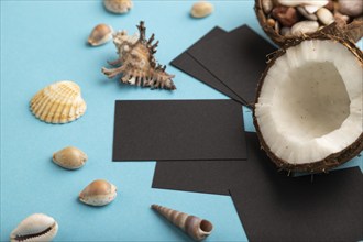 Black paper business card with coconut and seashells on blue pastel background. Side view, copy